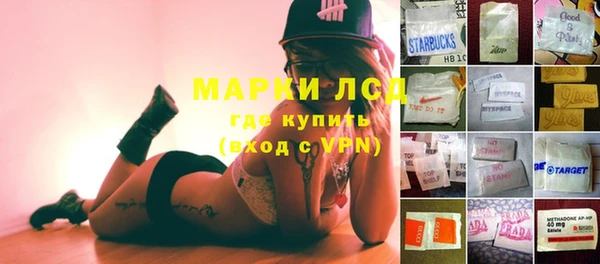 индика Арсеньев