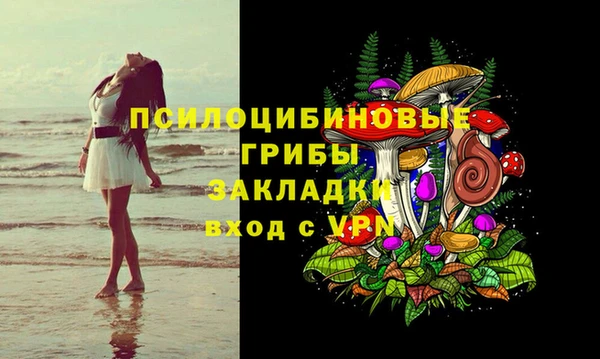 индика Арсеньев