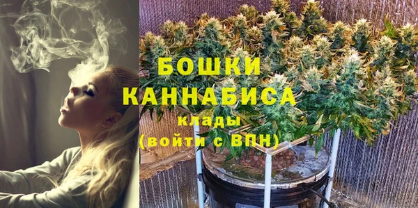 молекула духа Аркадак