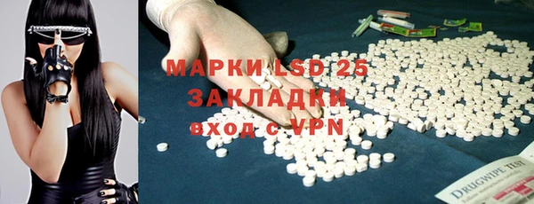 индика Арсеньев